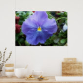 Blaue Pansy Soft Sketch Poster (Küche)