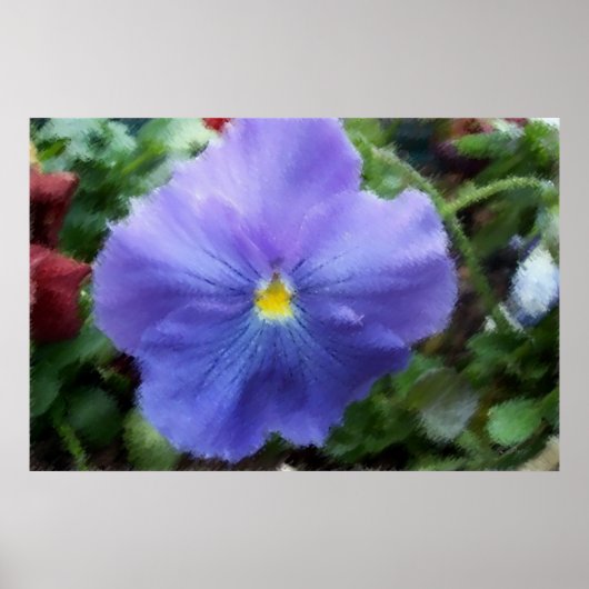 Blaue Pansy Soft Sketch Poster (Vorne)