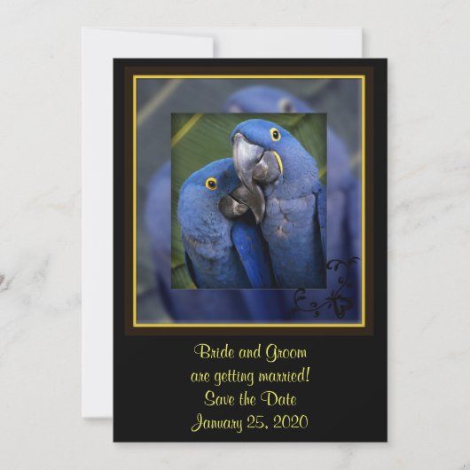 Blaue Papagei-Hochzeit Save The Date (Vorderseite)