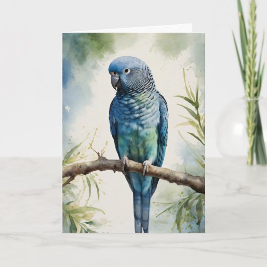 Blaue Parakeet Eukalyptus Tree Karte (Vorderseite)