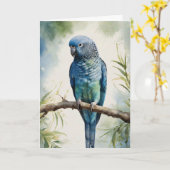 Blaue Parakeet Eukalyptus Tree Karte (Gelbe Blume)