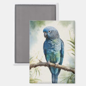 Blaue Parakeet Eukalyptus Tree Magnet (Vorderseite/Rückseite)