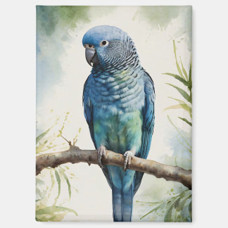 Blaue Parakeet Eukalyptus Tree Magnet