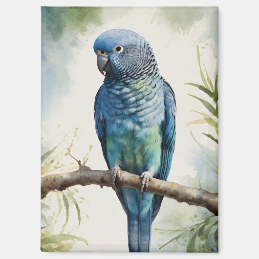 Blaue Parakeet Eukalyptus Tree Magnet (Vorderseite)