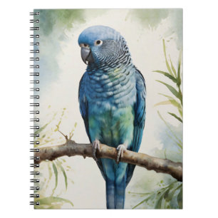 Blaue Parakeet Eukalyptus Tree Notizblock