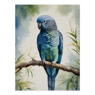 Blaue Parakeet Eukalyptus Tree Poster