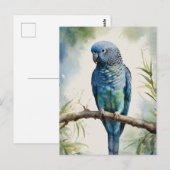 Blaue Parakeet Eukalyptus Tree Postkarte (Vorne/Hinten)