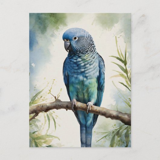 Blaue Parakeet Eukalyptus Tree Postkarte (Vorderseite)