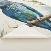 Blaue Parakeet Eukalyptus Tree Sherpadecke (3/4)