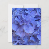 Blaue Perwinkle, elegante Blumenhydrangeas Dankeskarte (Rückseite)