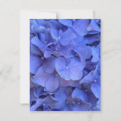 Blaue Perwinkle, elegante Blumenhydrangeas Dankeskarte (Rückseite)