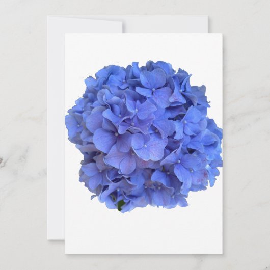 Blaue Perwinkle, elegante Blumenhydrangeas Einladung (Vorderseite)