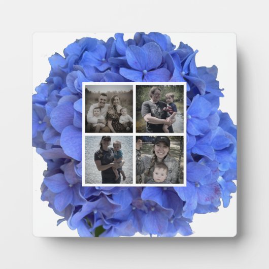 Blaue Perwinkle, elegante Blumenhydrangeas Fotoplatte (Vorderseite)