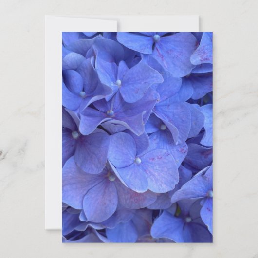 Blaue Perwinkle elegante Blumenhydrangeas Hochzeit Einladung (Rückseite)