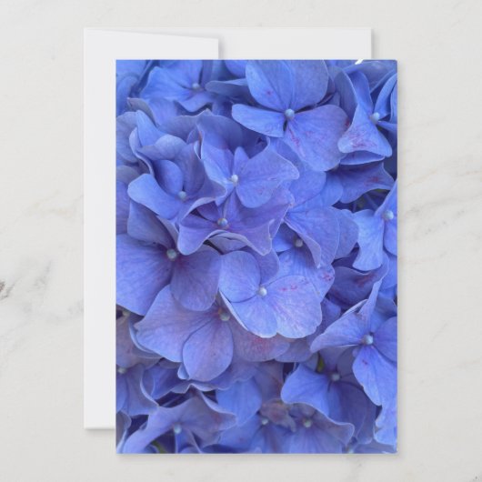 Blaue Perwinkle elegante Blumenhydrangeas Hochzeit Einladung (Rückseite)