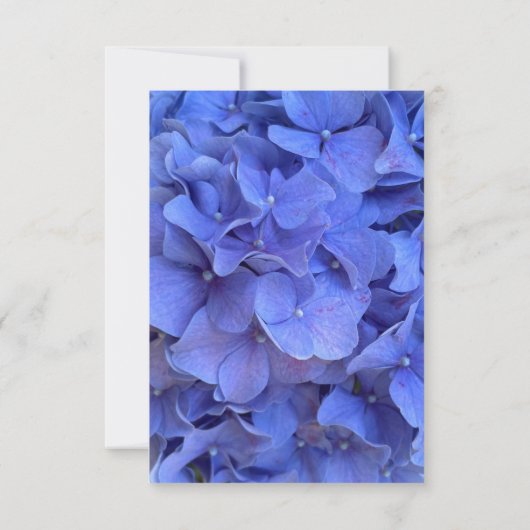 Blaue Perwinkle elegante Blumenhydrangeas Hochzeit Einladung (Rückseite)