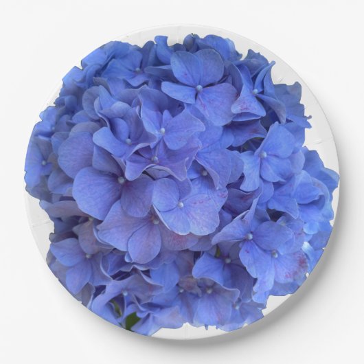 Blaue Perwinkle, elegante Blumenhydrangeas Pappteller (Vorderseite)