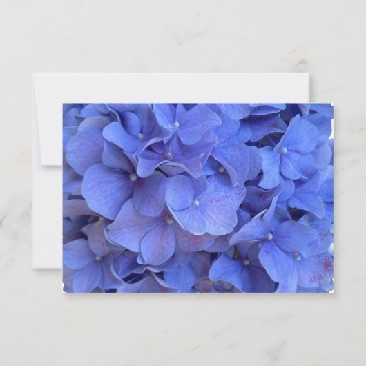 Blaue Perwinkle, elegante Blumenhydrangeas Save The Date (Rückseite)