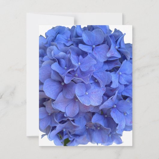 Blaue Perwinkle, elegante Blumenhydrangeas Save The Date (Rückseite)
