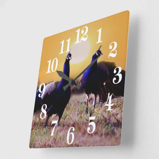 Blaue Pfaus Quadratische Wanduhr (Winkel)