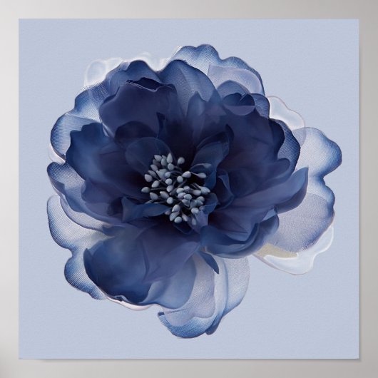 BLAUE PFINGSTROSE POSTER (Vorne)