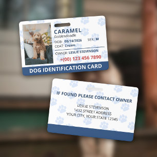 Blaue Pfotenabdrücke Foto & Name Hundemarke Ausweis