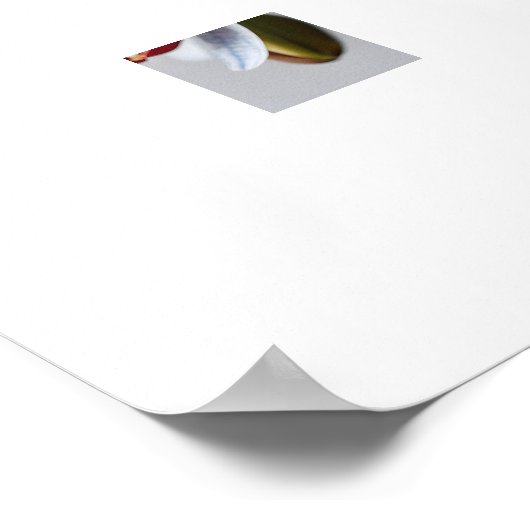 Blaue Phalaenopsis Orchids Kunstdrucke Poster (Ecke)