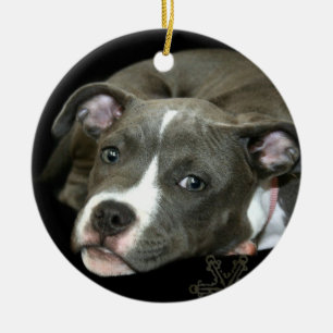 Blaue pitbull Welpenverzierung Keramikornament