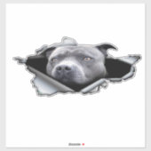Blaue Pitbulle, Dekoration des Autos, Autoaufklebe Aufkleber (Blatt)