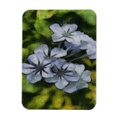 Blaue Plumbago-Blossom-Malerei Magnet (Vertikal)