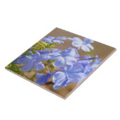 Blaue Plumbago-Blumen Fliese (Seite)