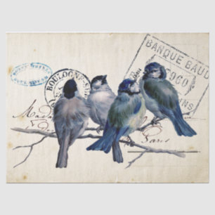 Blaue Postkarte Blaumeise Kohlmeise französischer Seidenpapier