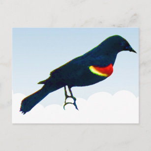 Blaue Postkarte von Blackbird