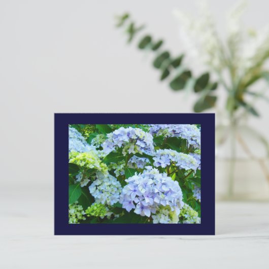 Blaue Postkarten Blumengärten Sommer Hydrangeas (Stehend Vorderseite)