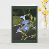 Blaue Prunkwinde Morgenpracht Blanko Karte (Gelbe Blume)