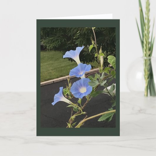 Blaue Prunkwinde Morgenpracht Blanko Karte (Vorderseite)