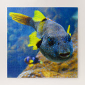 Blaue Puffer, Gelbe Fische und Gepunktete Puzzle (Horizontal)