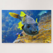 Blaue Puffer, Gelbe Fische und Gepunktete Puzzle (Horizontal)
