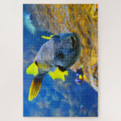 Blaue Puffer, Gelbe Fische und Gepunktete Puzzle (Vertikal)