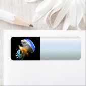 Blaue Qualle (Insitu)