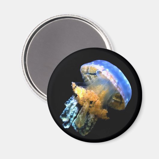 Blaue Qualle Magnet (Vorderseite/Rückseite)