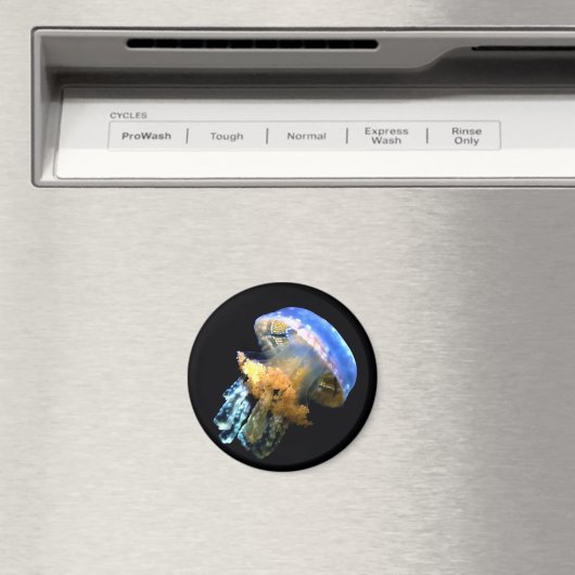 Blaue Qualle Magnet (In Situ (Geschirrspüler))