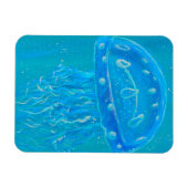 Blaue Qualle Malerei Magnet (Horizontal)
