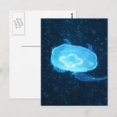 Blaue Qualle Postkarte (Vorne/Hinten)