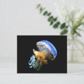 Blaue Qualle Postkarte (Stehend Vorderseite)