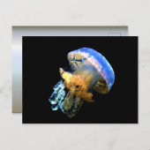 Blaue Qualle Postkarte (Vorne/Hinten)