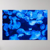 Blaue Qualle unter Wasser Poster (Vorne)