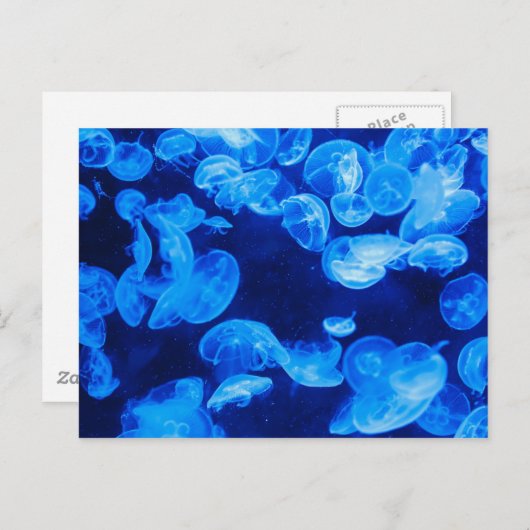 Blaue Qualle unter Wasser Postkarte (Vorne/Hinten)