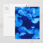 Blaue Quallen unter Wasser Postkarte (Vorne/Hinten)