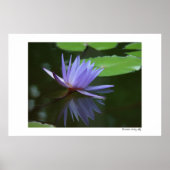 Blaue Reflektionen Poster (Vorne)